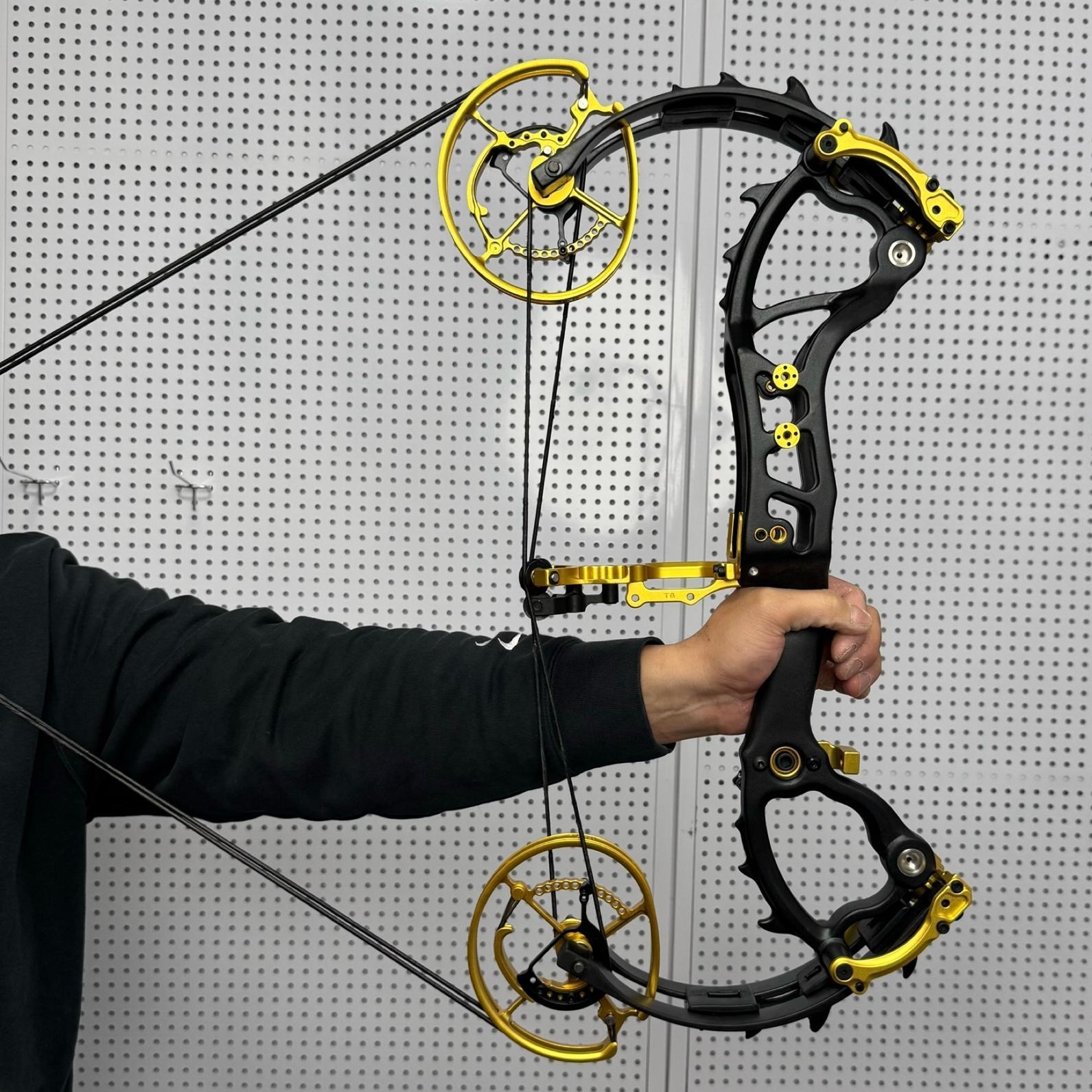 Carbon Dual-use Compound Bow Hunting Archery