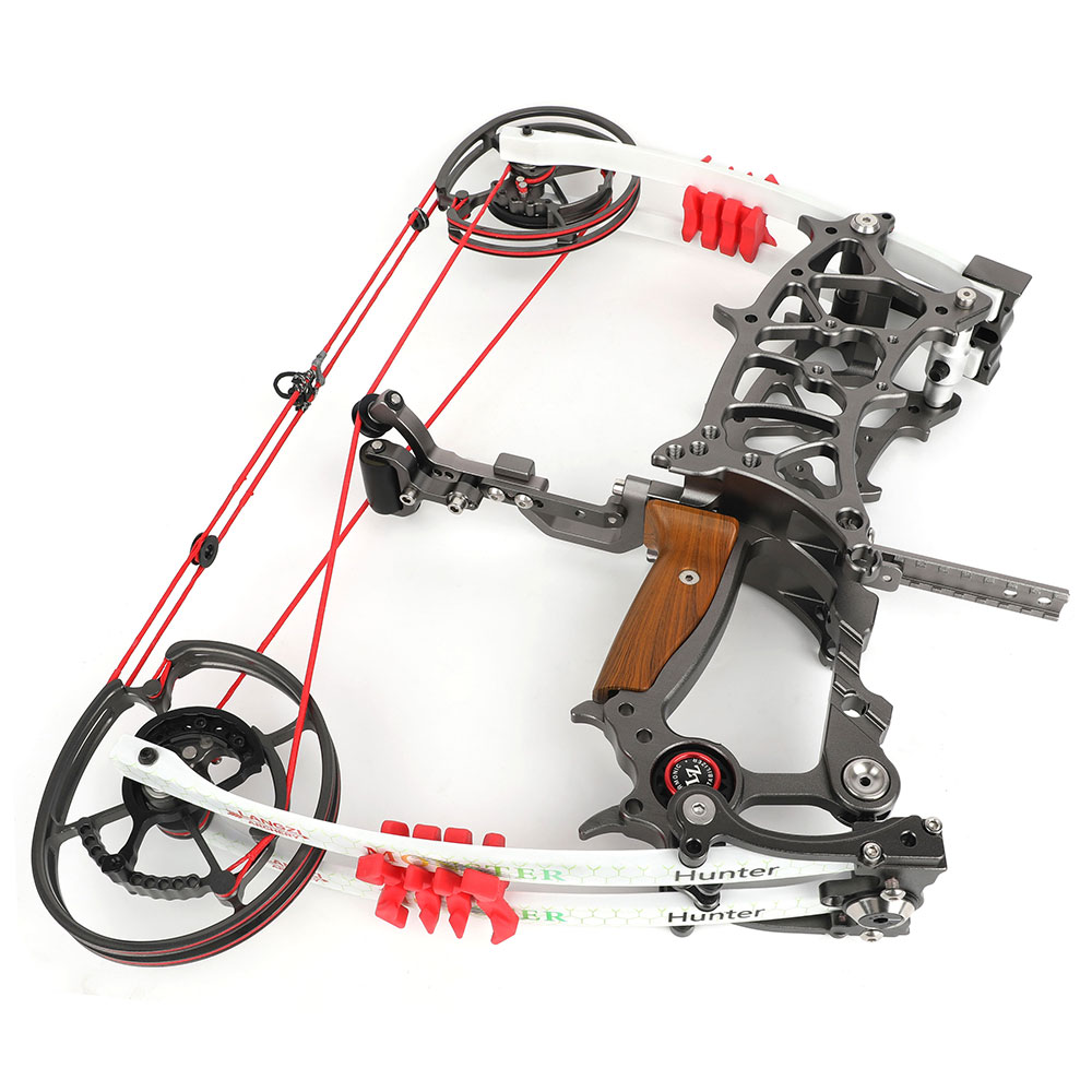 Archery Dual Compound Bow Arrow & Rapid Shooter Steel Ball
