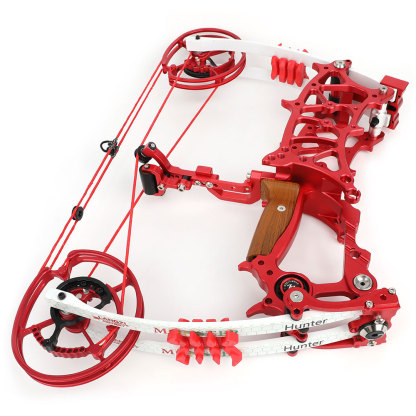 Archery Dual Compound Bow Arrow & Rapid Shooter Steel Ball
