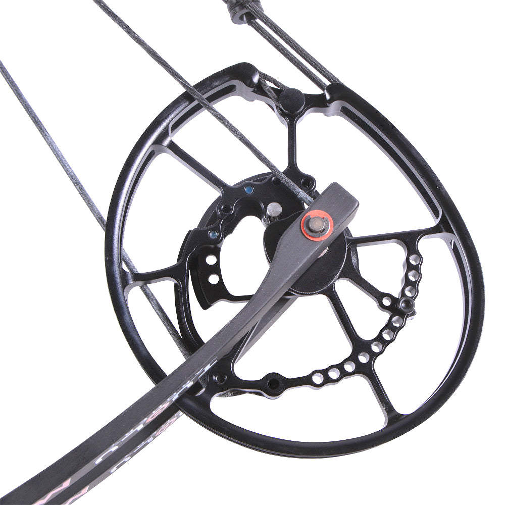 🎯TULU Archery Compound Bow MAGIC WORLD Steel Ball Arrows Hunting-AMEYXGS Archery