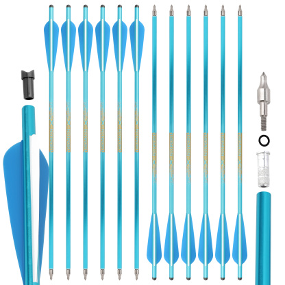 Crossbow Arrows Aluminum Archery Bow Hunting(1 Dozen)