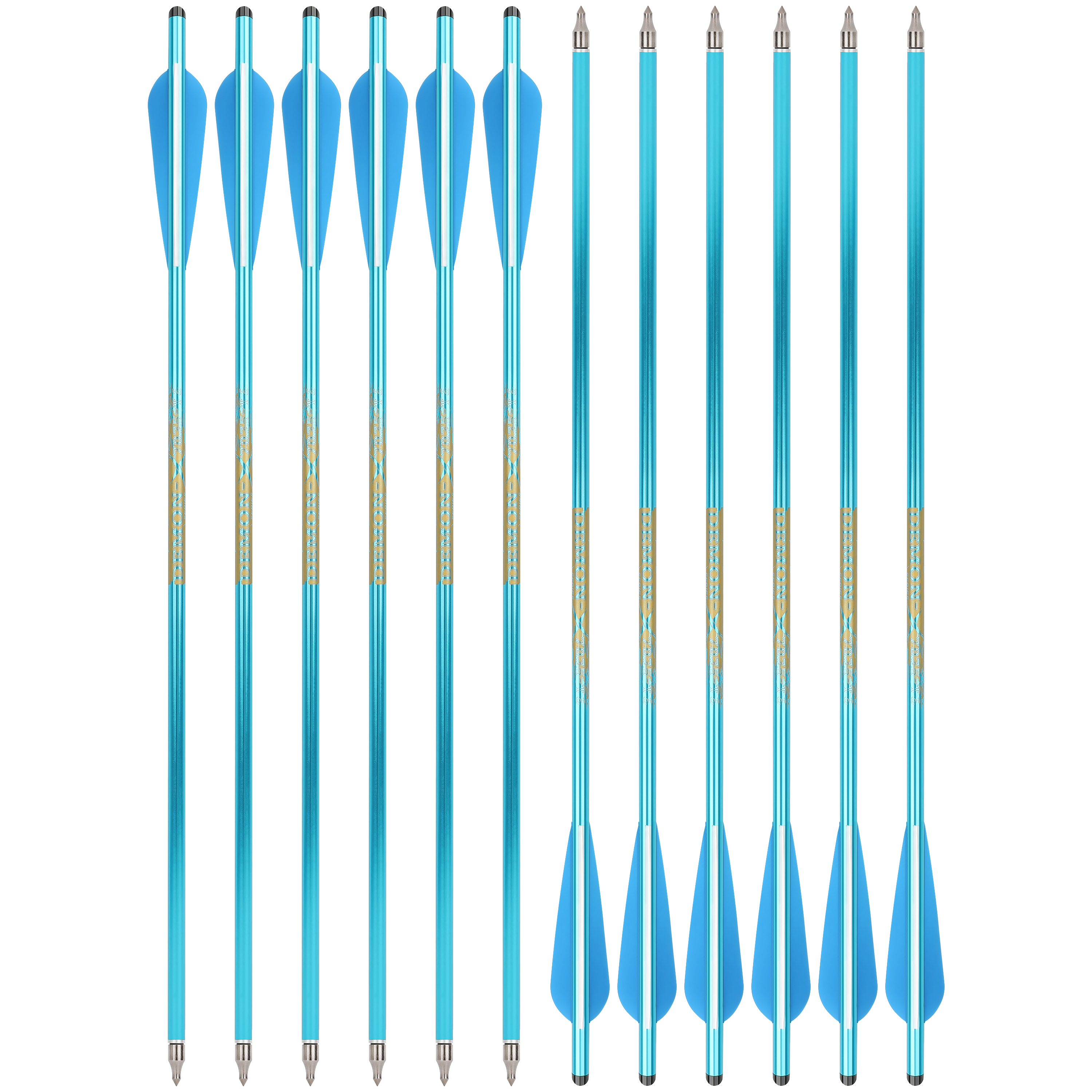 12-Pack 20" Carbon Crossbow Bolts – Half Moon Nocks, 8.8mm Broadheads, 500 Spine (Target/Shooting)