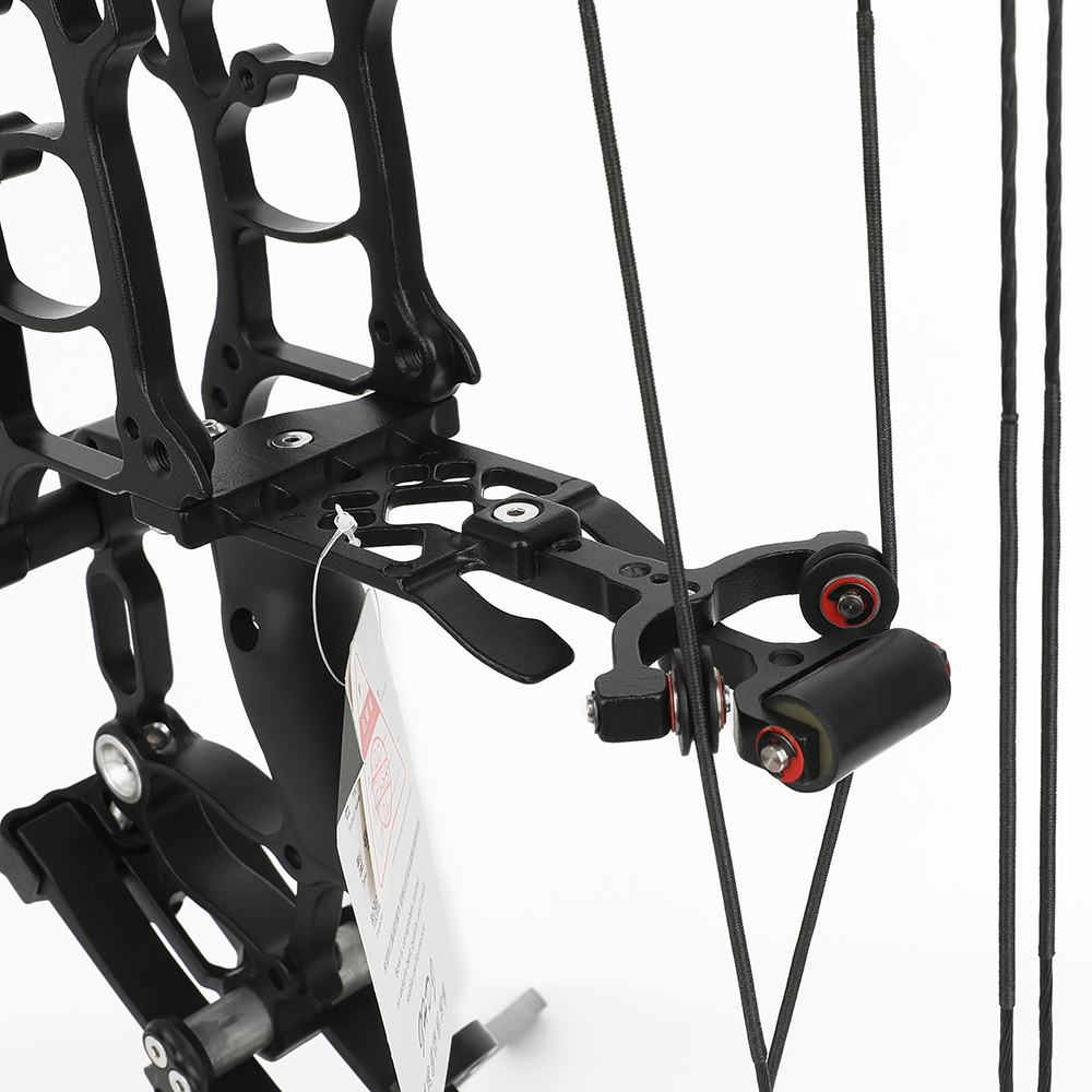 Dual Purpose Compound Bow 30-70 lbs for Archery Bowhunting