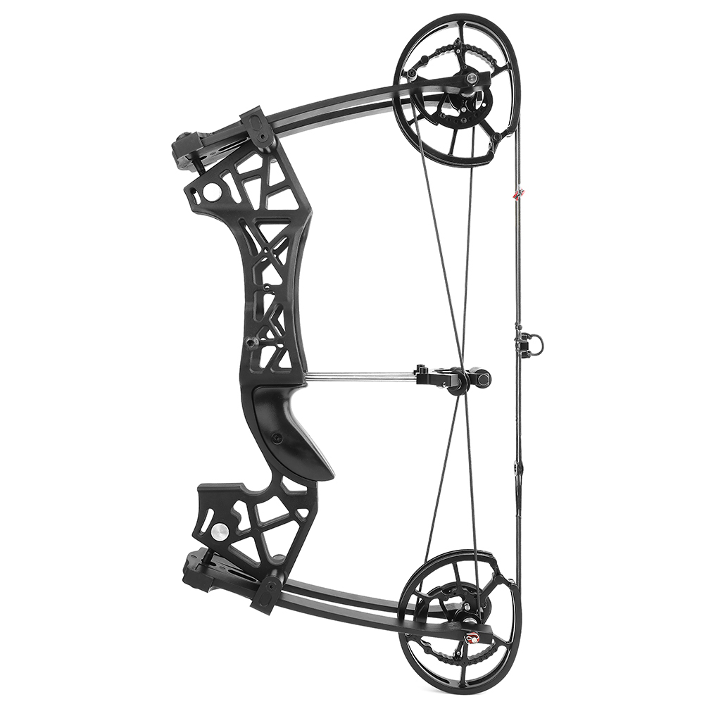 Tactical Dual-Use Hunting Compound Bow 40–65 lbs with Carbon Arrows & Steel Balls