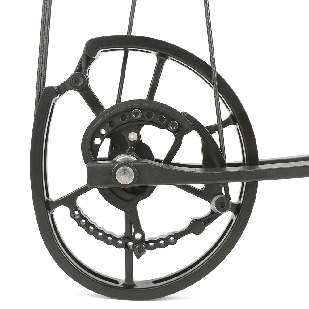 Tactical Dual-Use Hunting Compound Bow 40–65 lbs with Carbon Arrows & Steel Balls