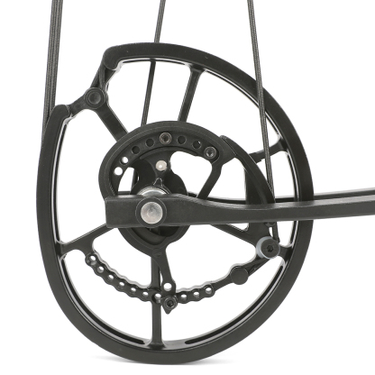 Tactical Dual-Use Hunting Compound Bow 40–65 lbs with Carbon Arrows & Steel Balls
