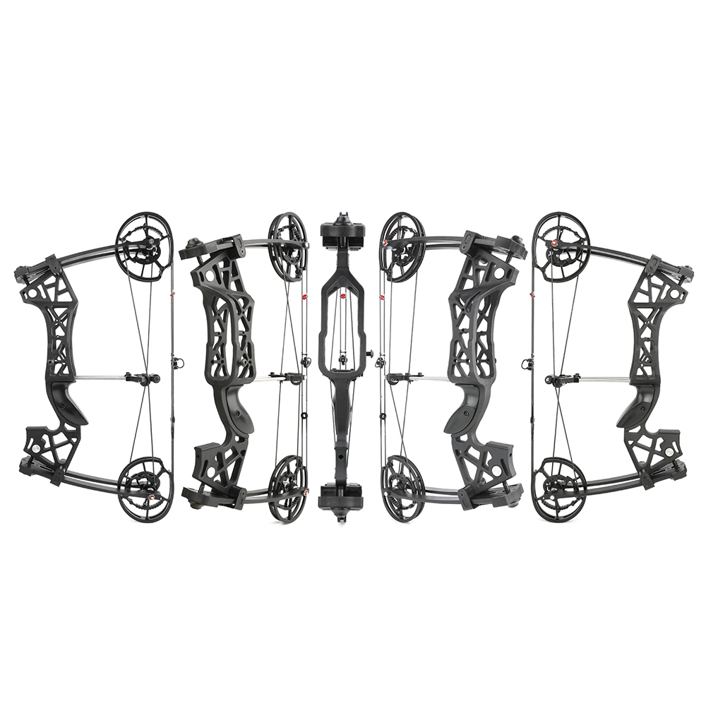 Tactical Dual-Use Hunting Compound Bow 40–65 lbs with Carbon Arrows & Steel Balls
