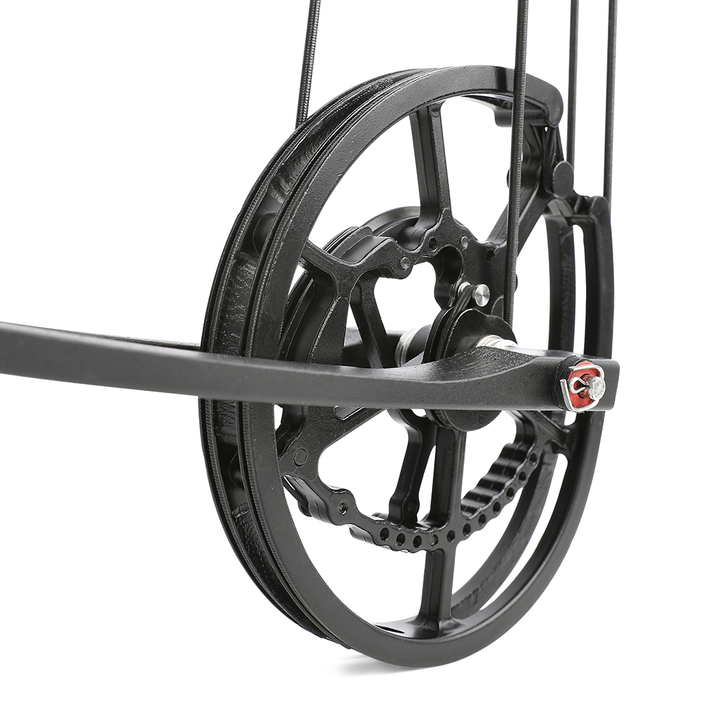 Tactical Dual-Use Hunting Compound Bow 40–65 lbs with Carbon Arrows & Steel Balls