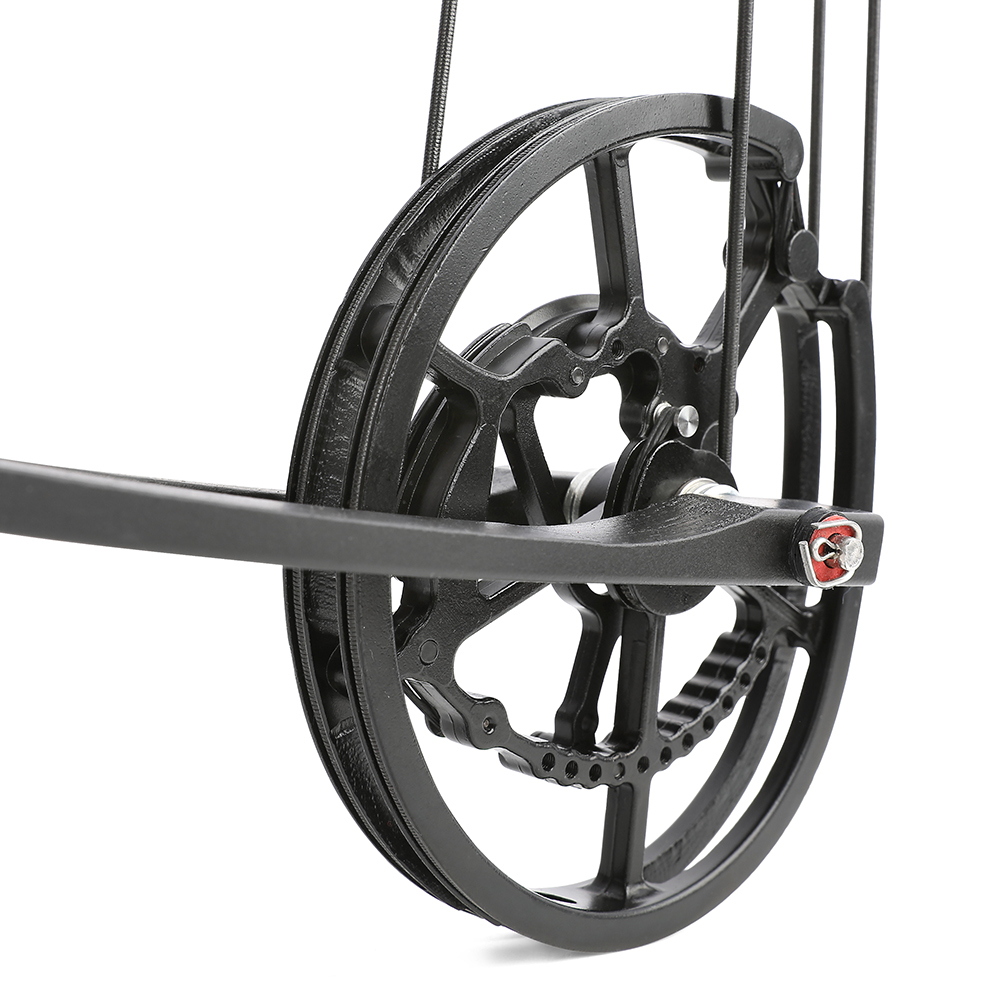 Tactical Dual-Use Hunting Compound Bow 40–65 lbs with Carbon Arrows & Steel Balls