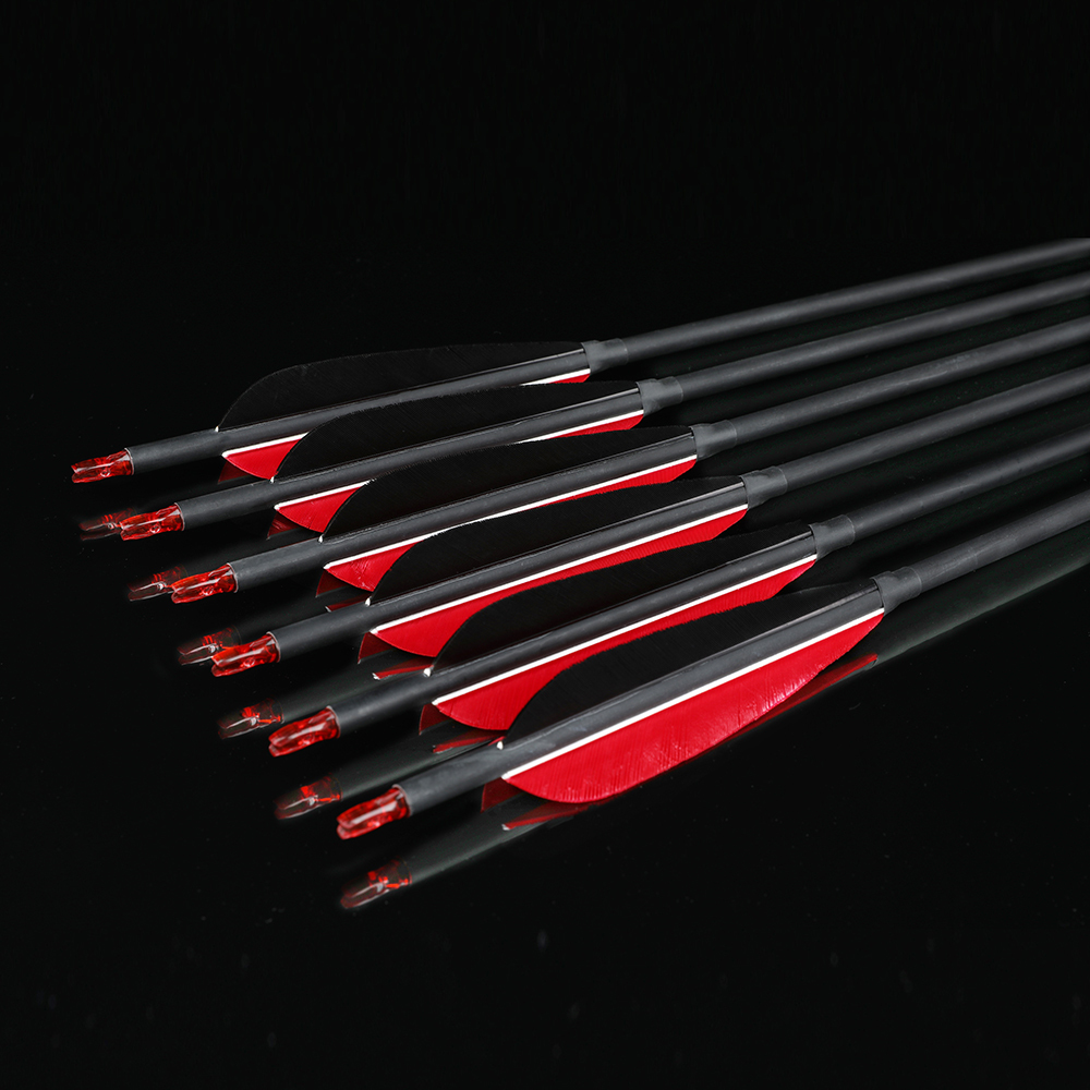 English Longbow Takedown Traditional Archery Hunting