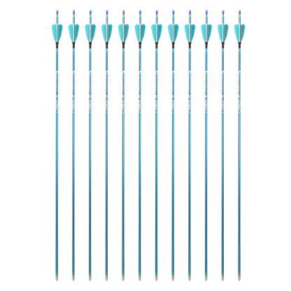 Firefox Heart Carbon Arrow for Archery Target 