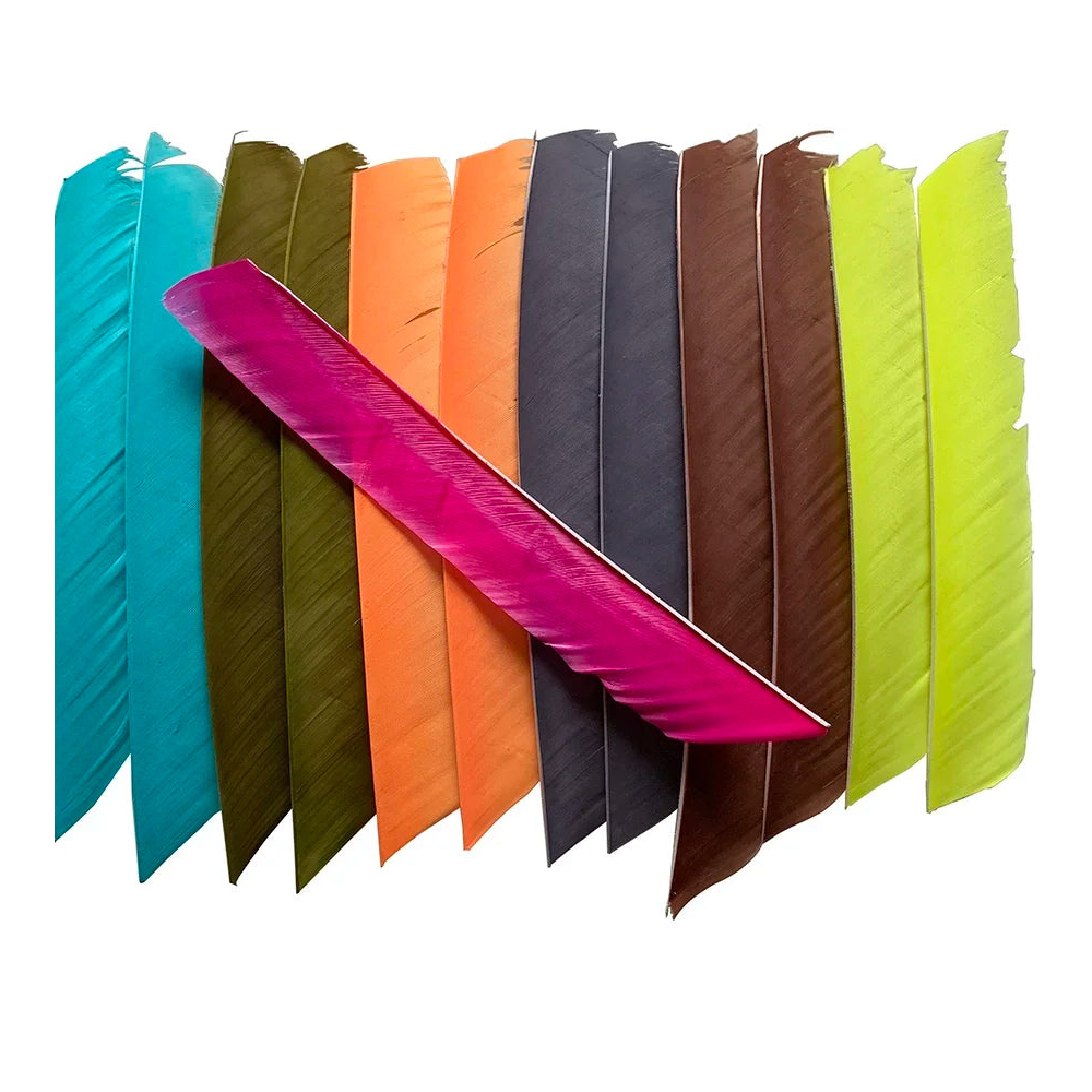 Full Length Real Turkey Feather Left Wings