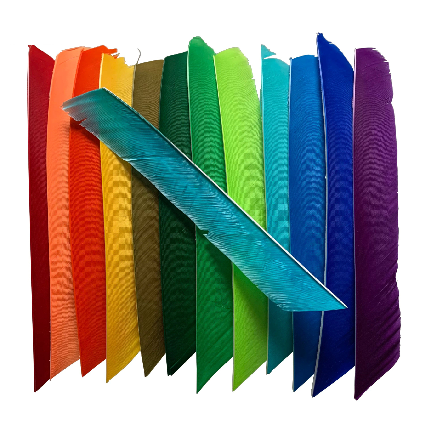 Full Length Real Turkey Feather Left Wings