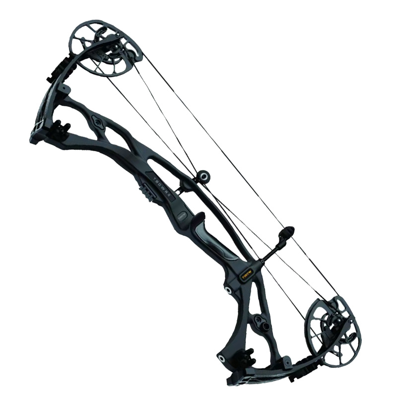 TAOW-H21 Compound Bow Hunting Outdoor
