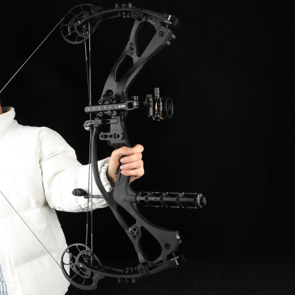 HOYT RX8 - H21 Compound Bow Arrow 3D Hunting Kit