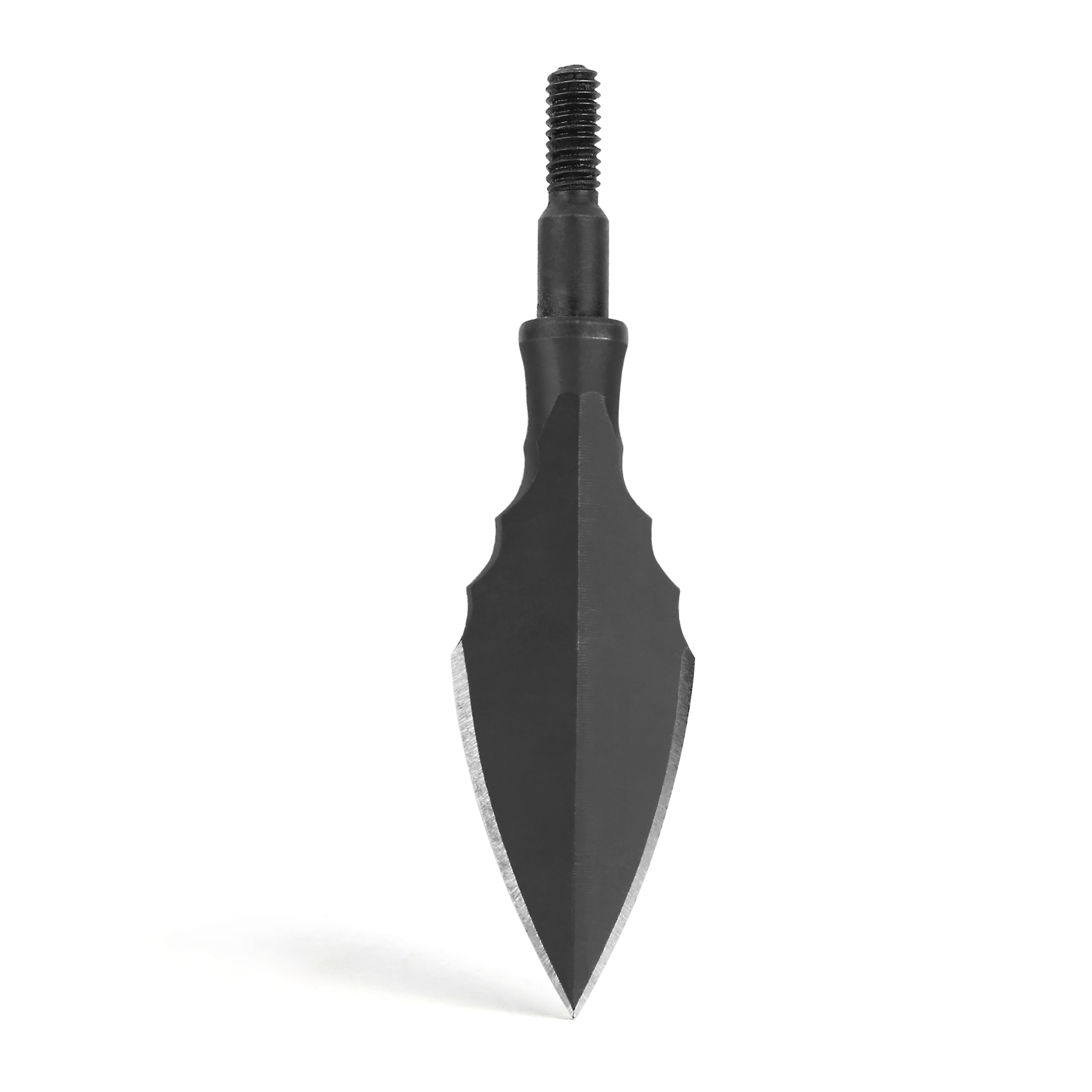 Traditional Broadheads Screw-in Archery Tips (6pcs/Box)