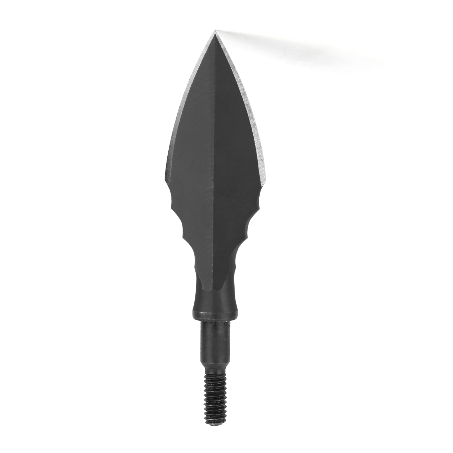 Traditional Broadheads Screw-in Archery Tips (6pcs/Box)