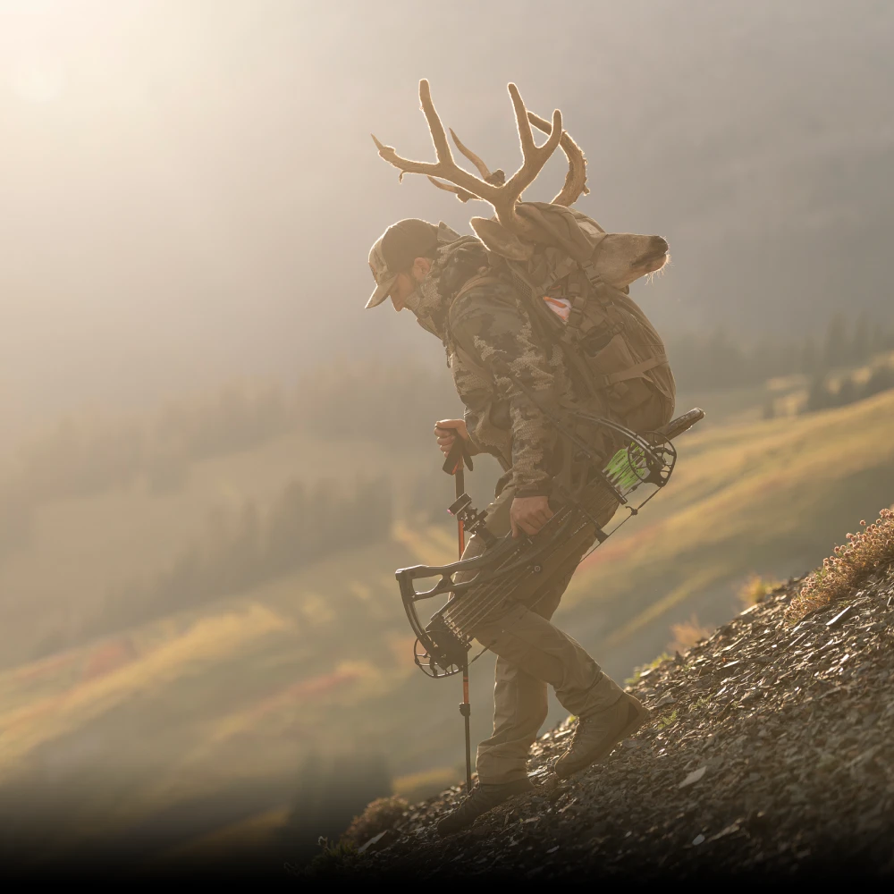 Hoyt Carbon RX-9 Compound Hunting Bow