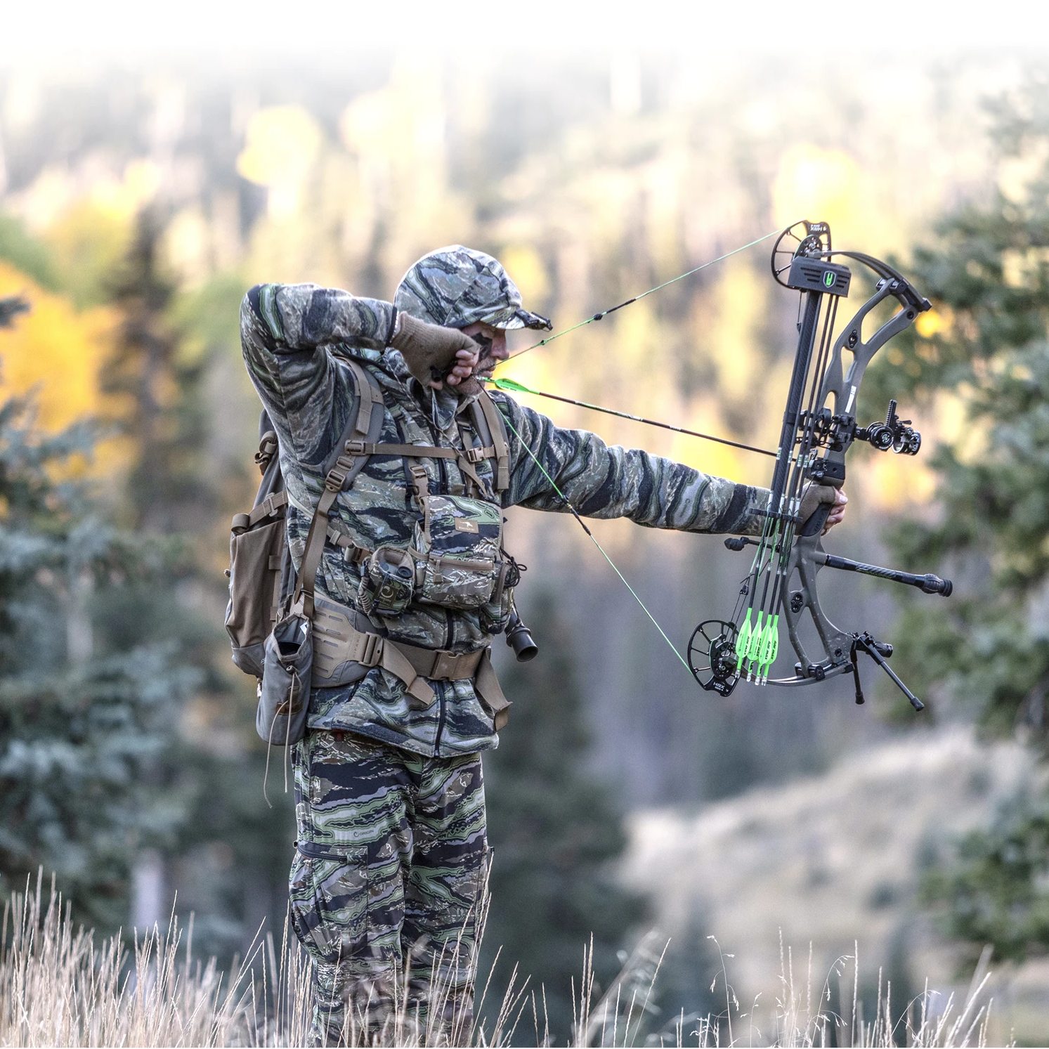 Hoyt Carbon RX-9 Compound Hunting Bow