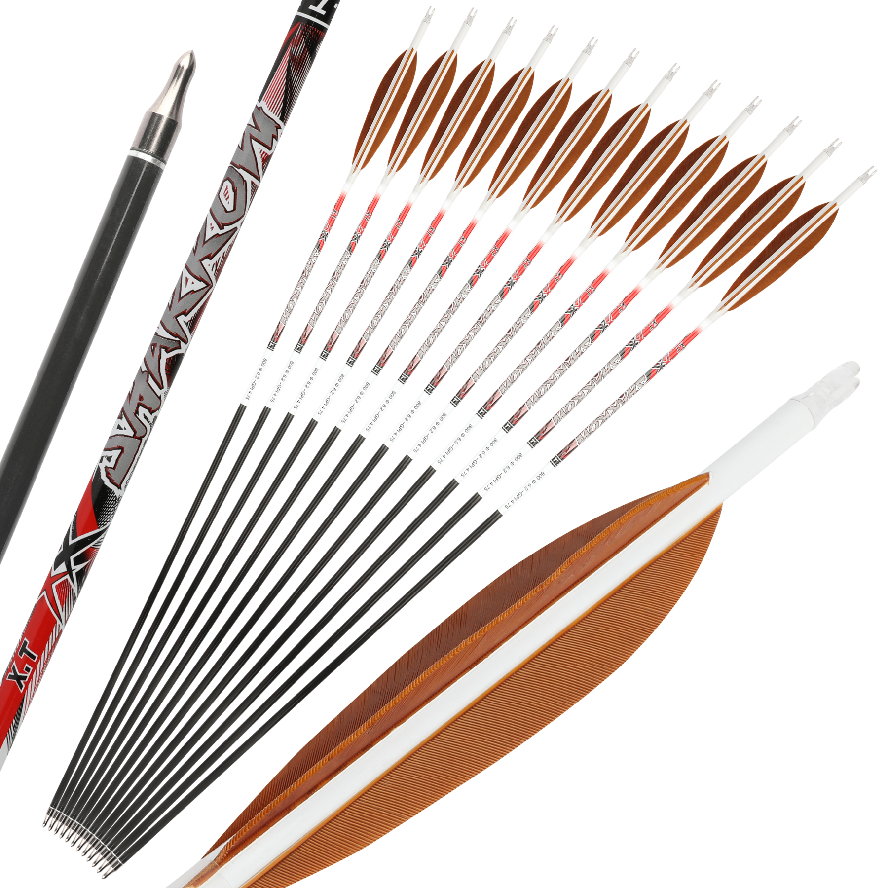 Hunter XT Hunting Arrows