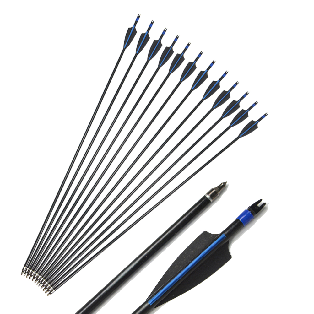 Hunting Practice Archery Fiberglass Arrow Compound Bow