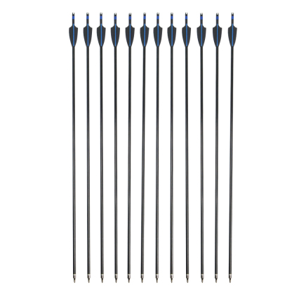 Hunting Practice Archery Fiberglass Arrow Compound Bow