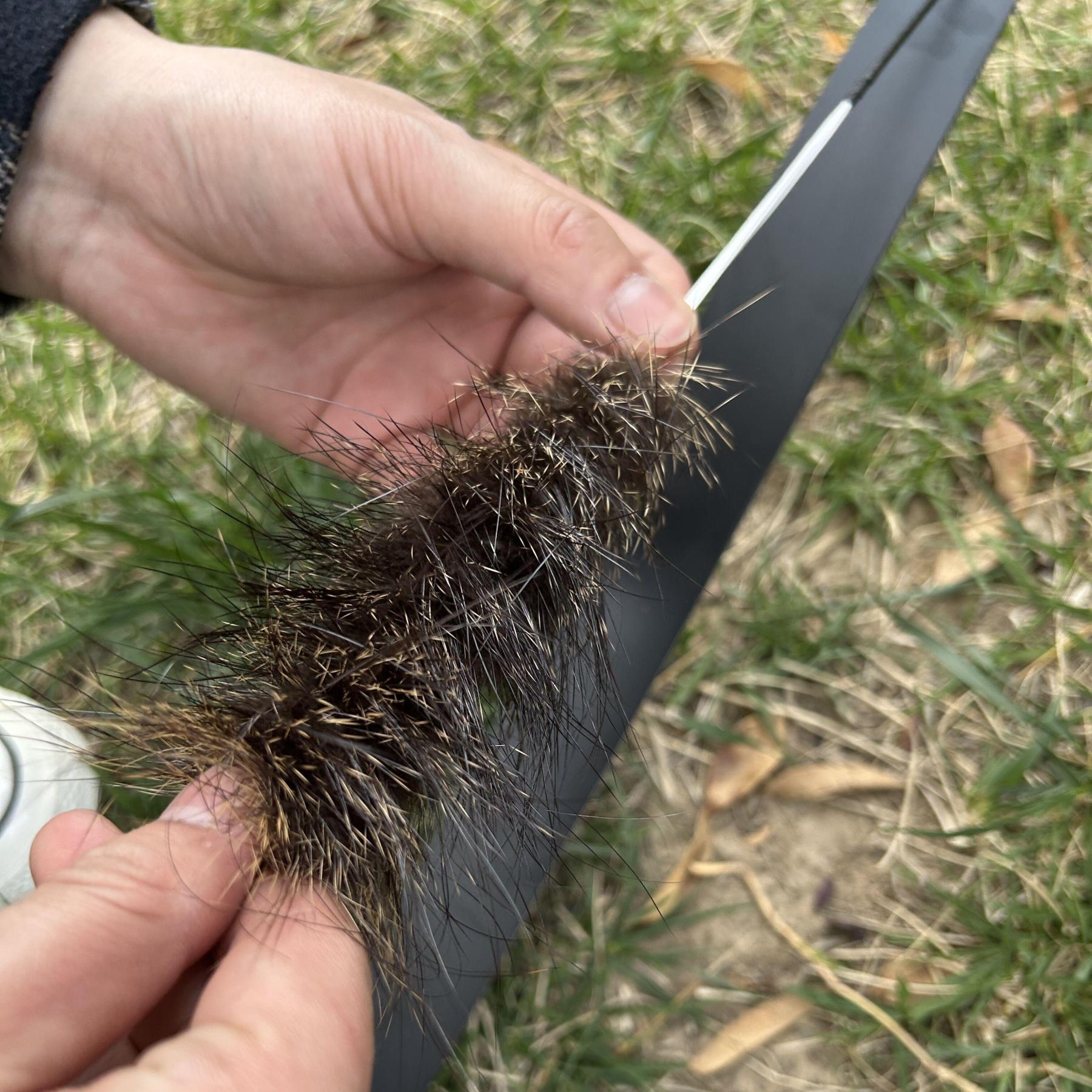 ILF Recurve Bowhunting American Archery with Quiver & Stabilzer & Arrows