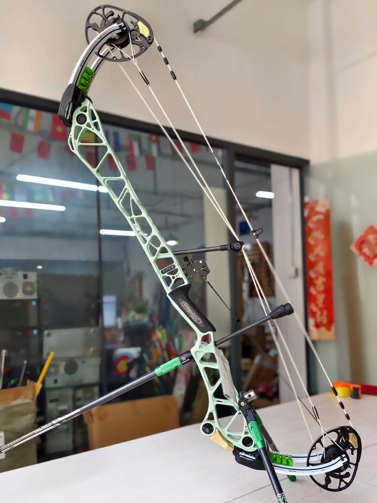 🎯2024 Mathews Archery TITLE 38 Compound Bow-AMEYXGS Archery