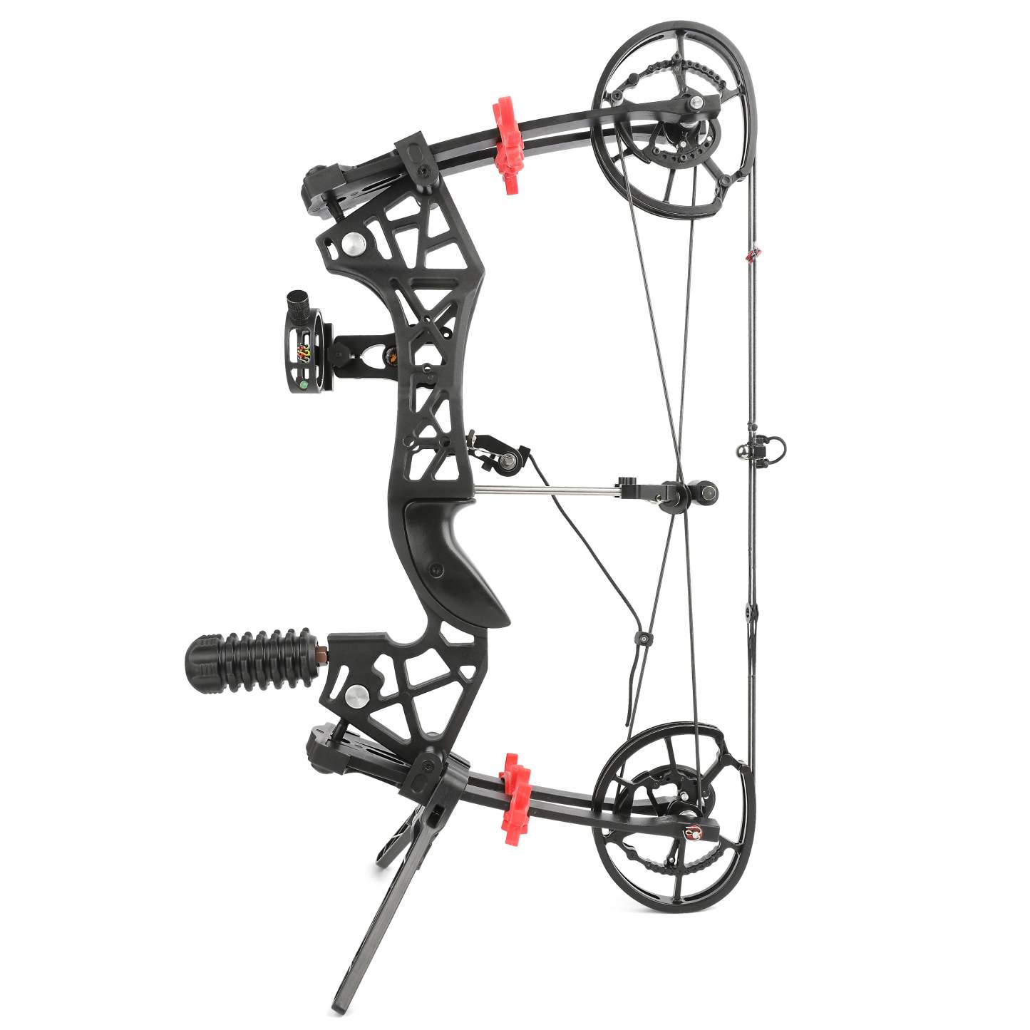 🎯Compound Bow Dual-use Archery RH&LH-AMEYXGS Archery