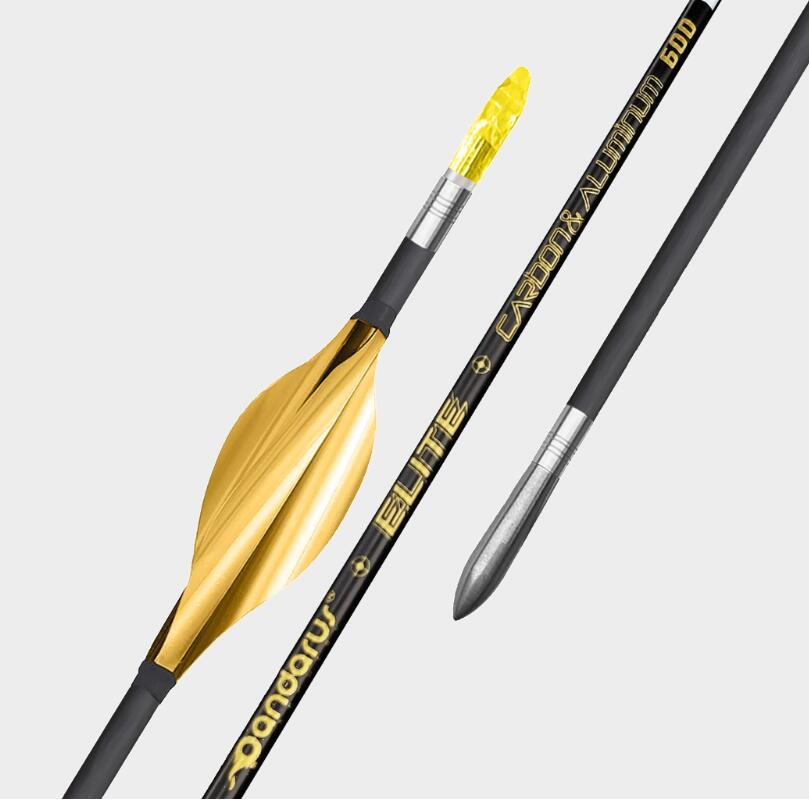 🎯(12-Pack) PANDARUS ELITE XT 3.2mm Arrows Archery Target-AMEYXGS Archery