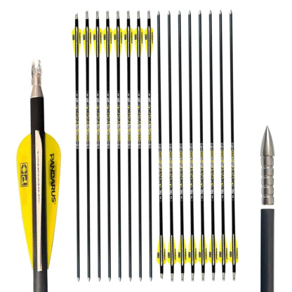 PANDARUS VERSUS Pure Carbon Arrows 26/27/28/29/30/31/32 Inch Hunting