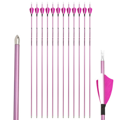 Professional 4.2mm Pure Carbon Arrow Spine 400-1000 for Target Recurve Compound Bow