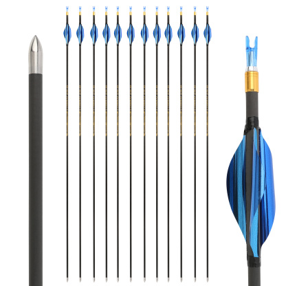 🎯AMEYXGS Archery Competitive 4.2mm Target Arrows Carbon Arrow Spine 700/800/900/1000