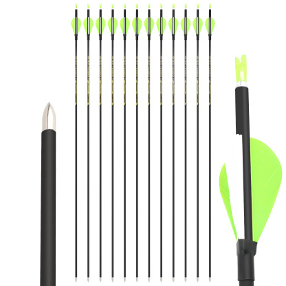 100% Pure Carbon Arrow Practice Hunting Spine 700/800/900/1000