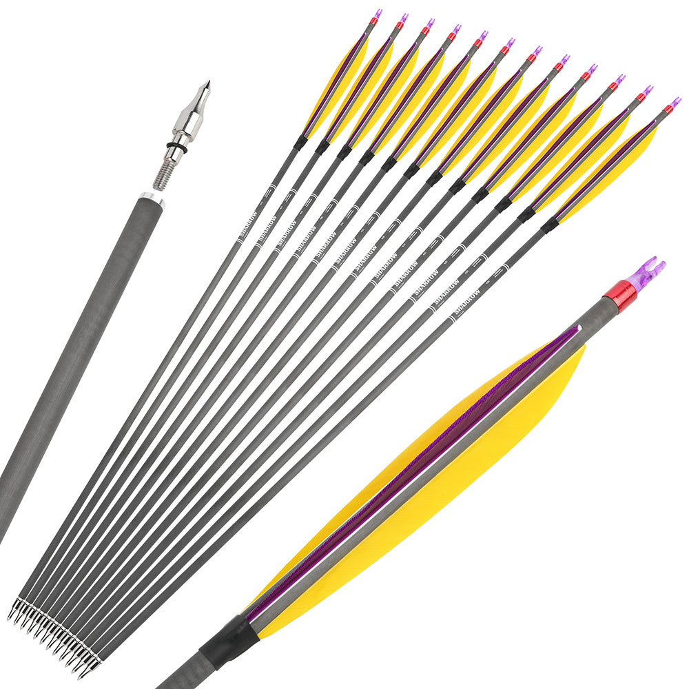 Flèches Carbone HNZMDY Arche 30 – Lot De 6/12 – SP350-600 – Pour Chasse à L'arc (composé, Recourbé)