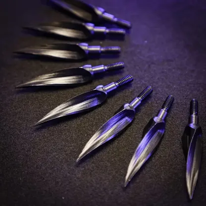 Screw-in Broadheads for Hunting Target Archery Beginners,125 Grain