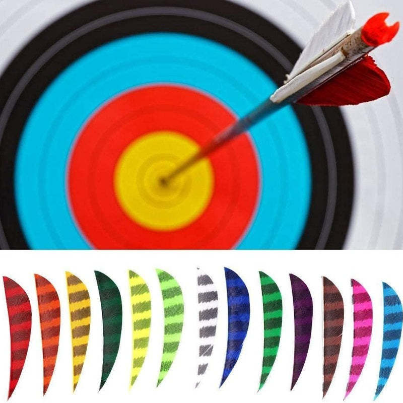🎯2'' Archery Feather Arrow Turkey Fletching Practice Target Arrows-AMEYXGS Archery