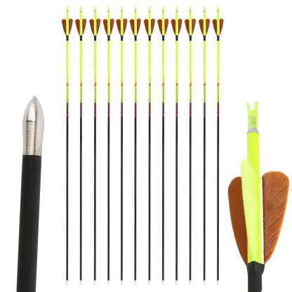 Storm Arrows Archery Turkey Feather Spine500 for Recurve Compound Hunting