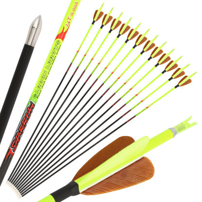 Storm Arrows Archery with Turkey Fletche