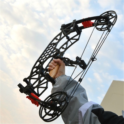 TUOLU Archery Compound Bow 35-65 lbs Shooting 320fps Target Set