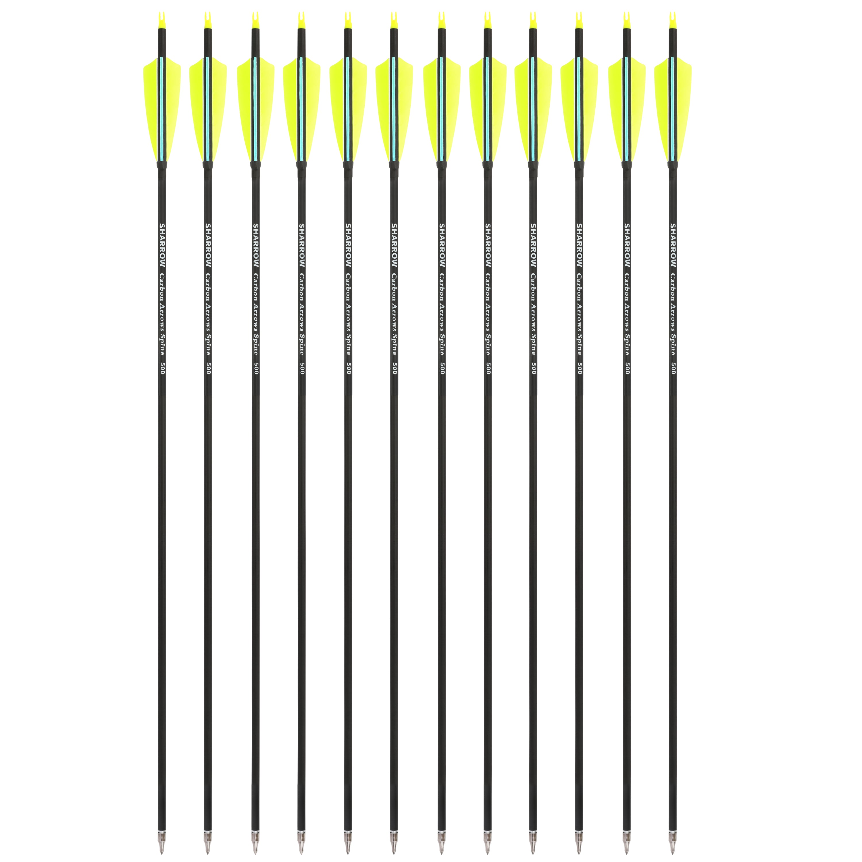 🎯Target Practice Carbon Arrow for Compound Bow Recurve Bow beginner archery-AMEYXGS Archery