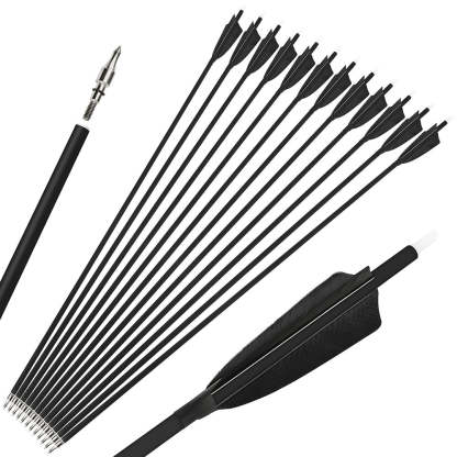 SPY アロー　800g 900g AMEYXGS Archery Spine 500 Pure Carbon Arrow