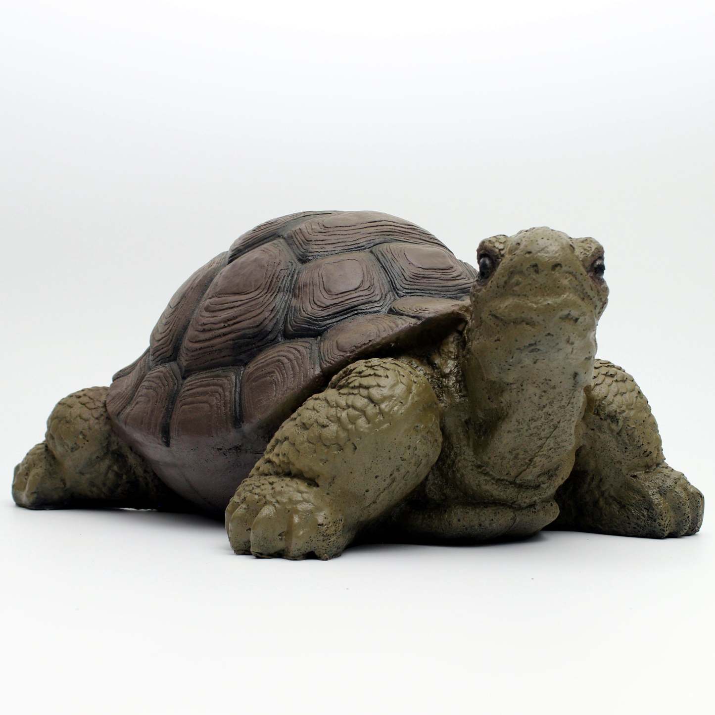 AMEYXGS Arcehry Hunting 3D Target Turtle-AMEYXGS Archery