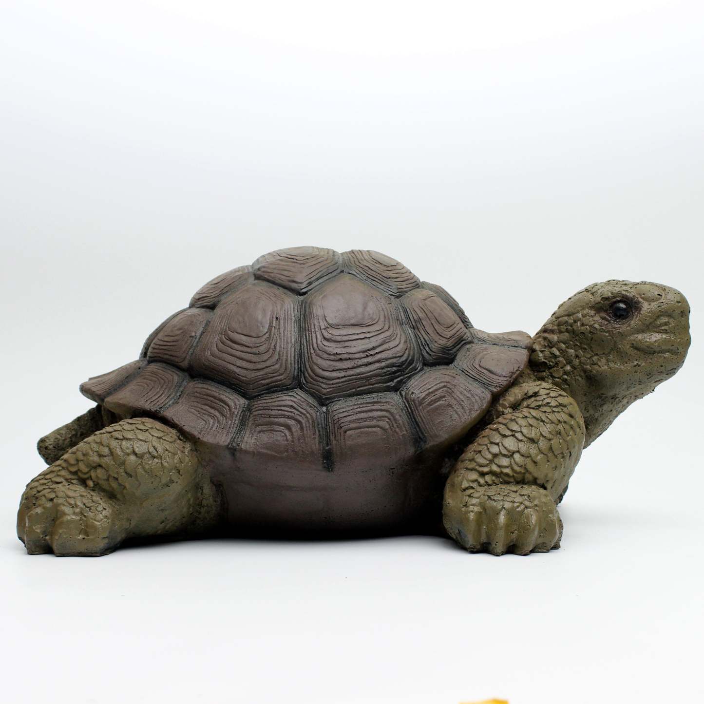 AMEYXGS Arcehry Hunting 3D Target Turtle-AMEYXGS Archery