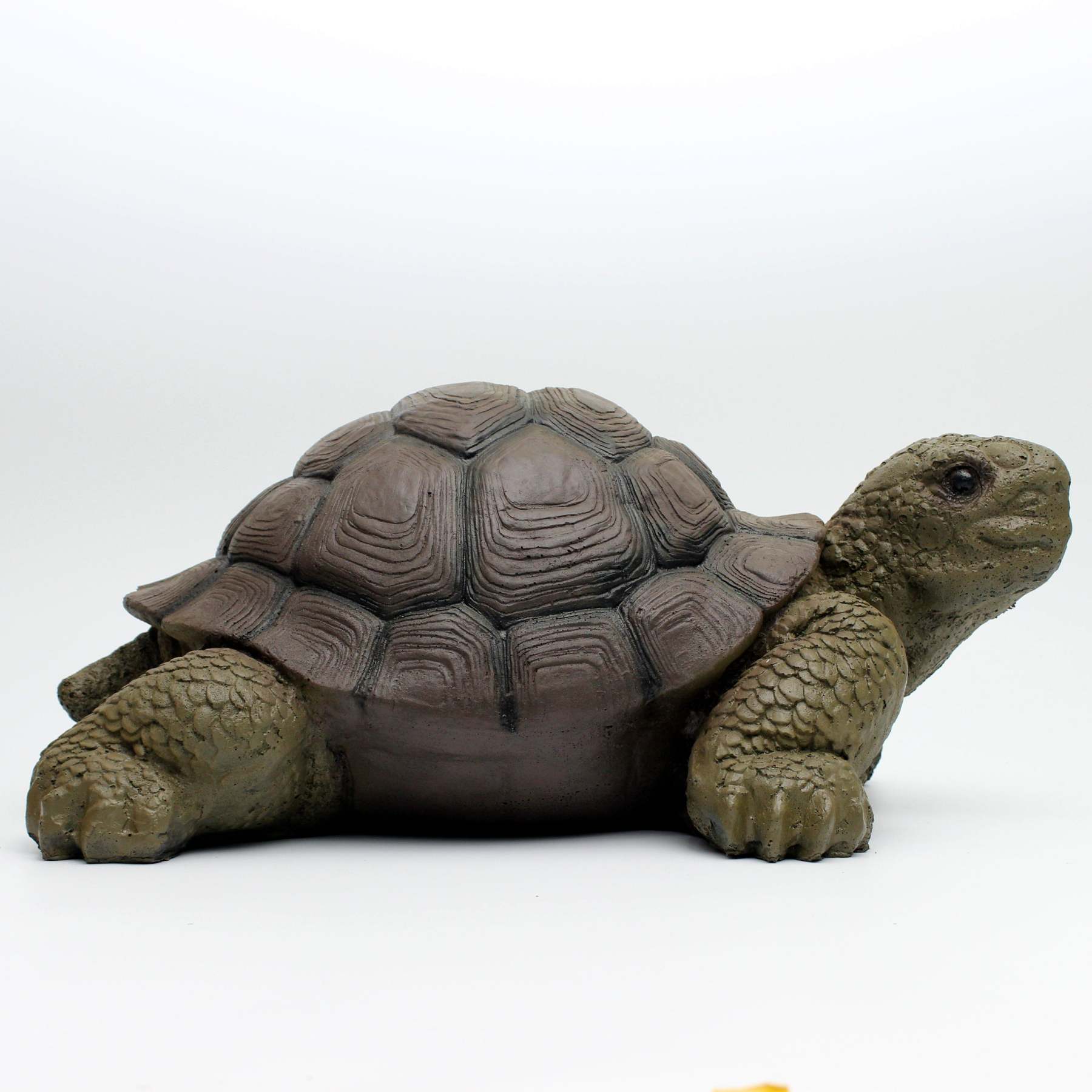 AMEYXGS Arcehry Hunting 3D Target Turtle-AMEYXGS Archery