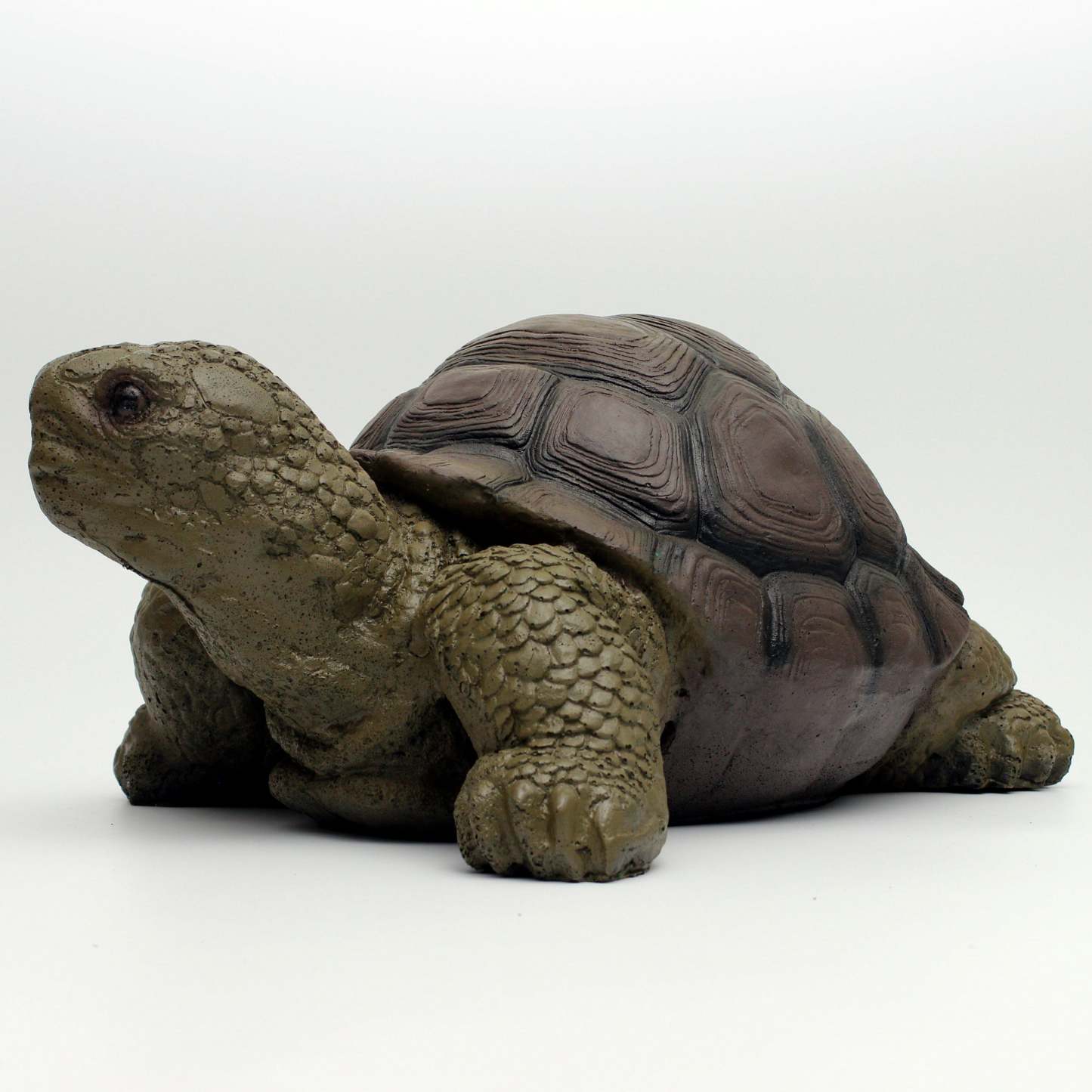 AMEYXGS Arcehry Hunting 3D Target Turtle-AMEYXGS Archery