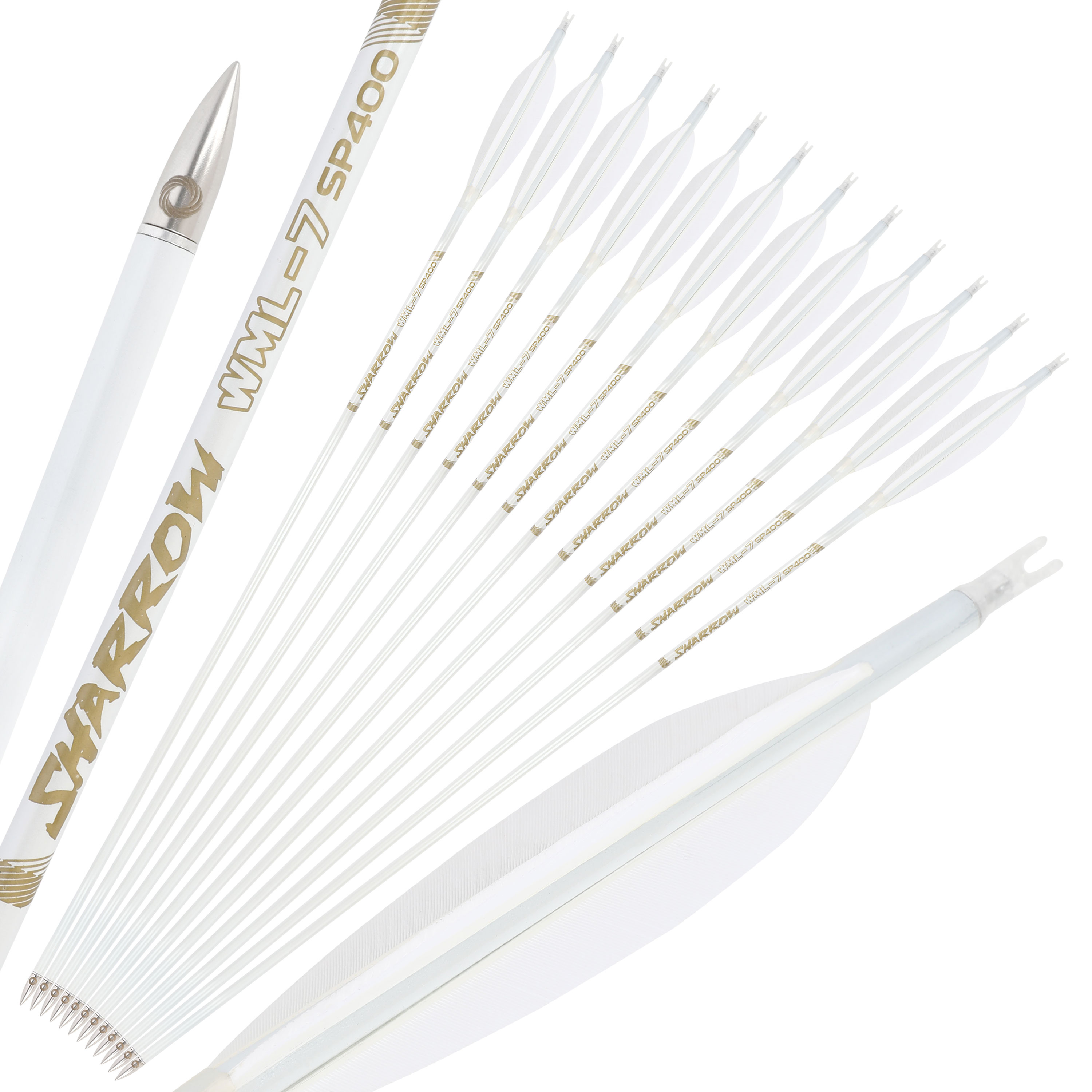 WML Carbon Arrows for Hunting Target