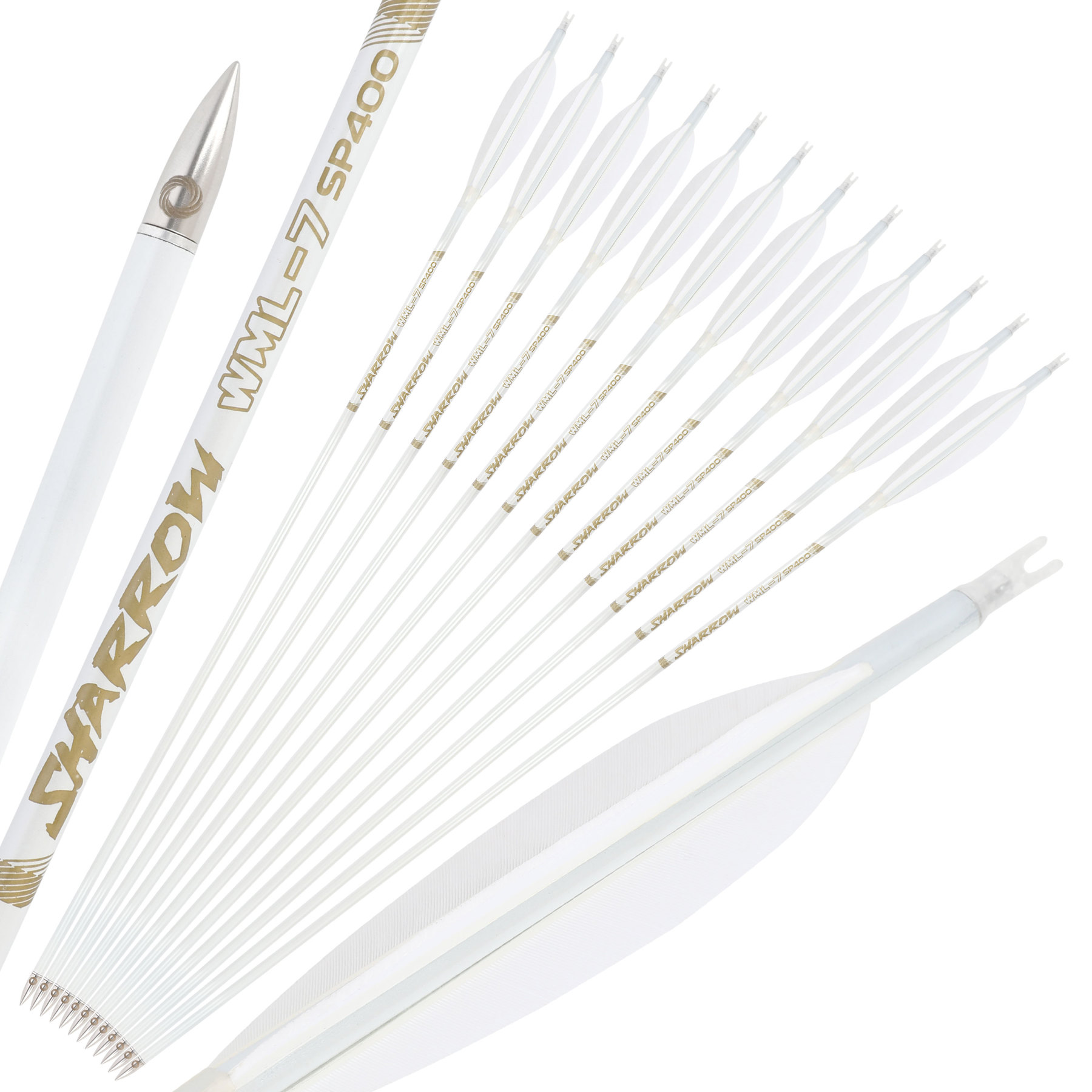 WML Carbon Arrows for Hunting Target