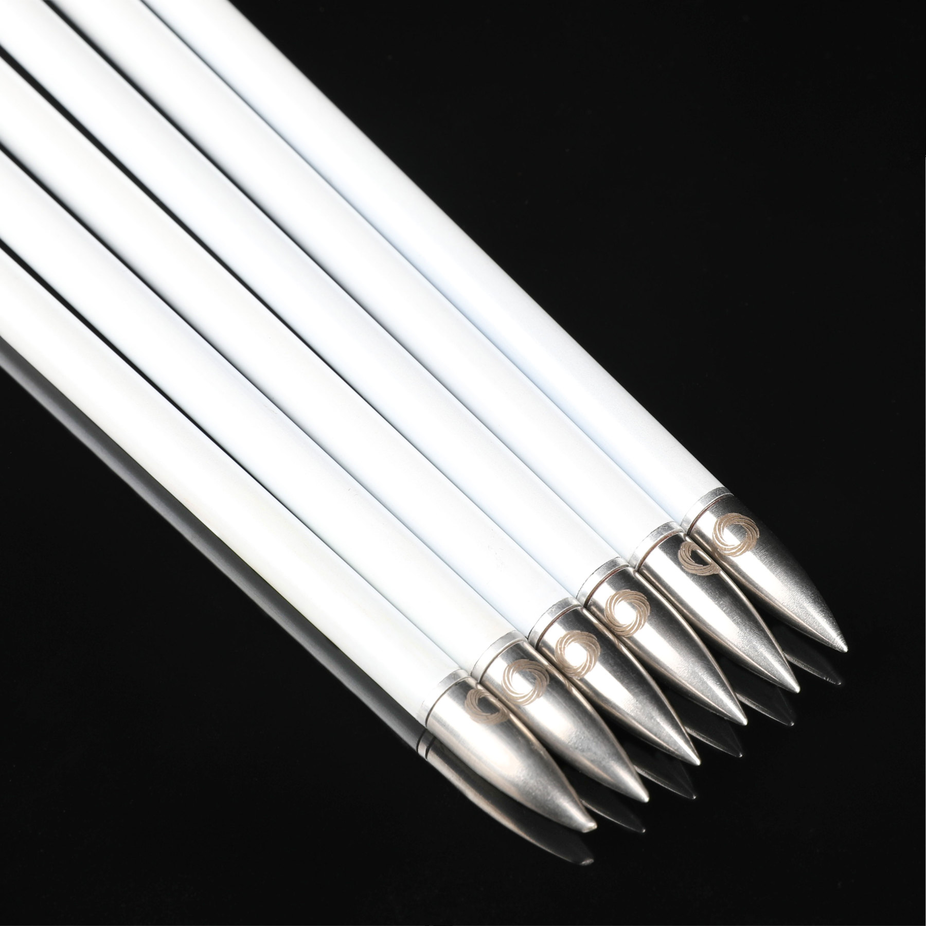 Arrowheads Point 100 grains with O-Ring for Targeting Hunting (Pack of 12)