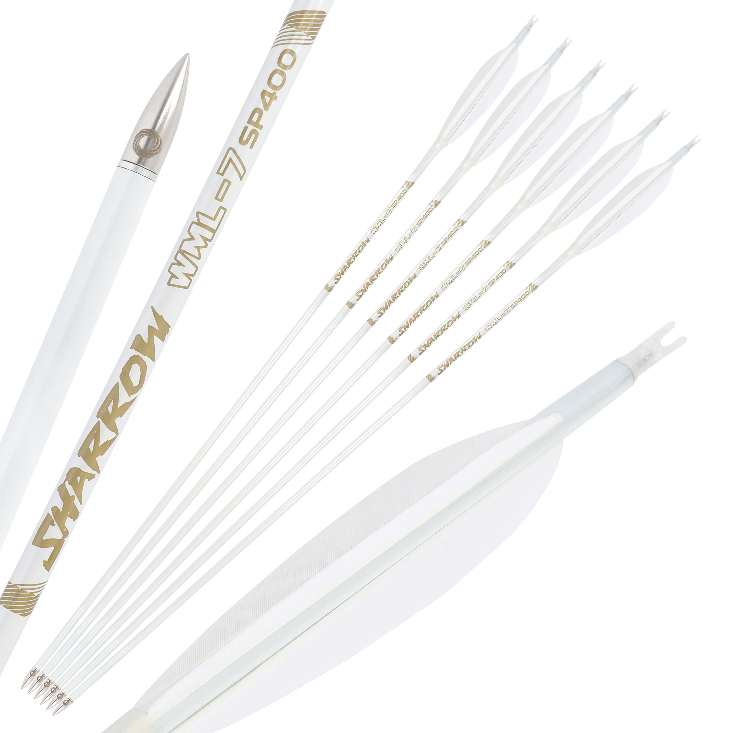 WML Carbon Arrows for Hunting Target